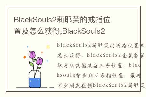 BlackSouls2莉耶芙的戒指位置及怎么获得,BlackSouls2全装备获取方法武器装备入手位置