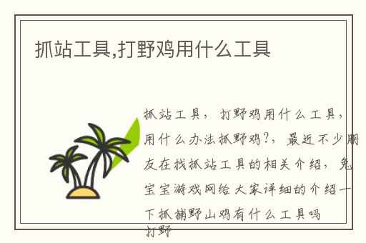 抓站工具,打野鸡用什么工具