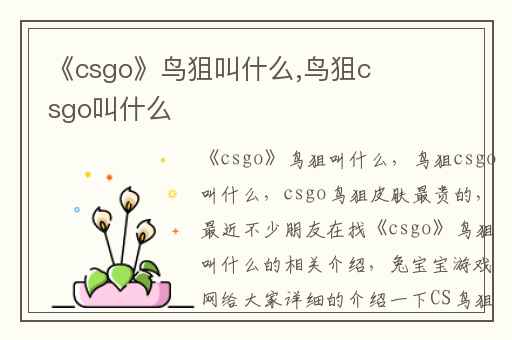 《csgo》鸟狙叫什么,鸟狙csgo叫什么