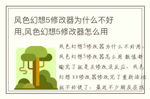 风色幻想5修改器为什么不好用,风色幻想5修改器怎么用 数值都输完了就是点修改没反应