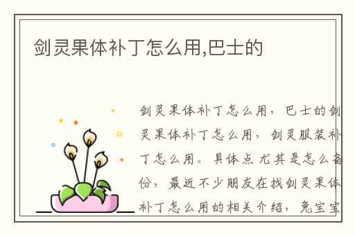 剑灵果体补丁怎么用,巴士的