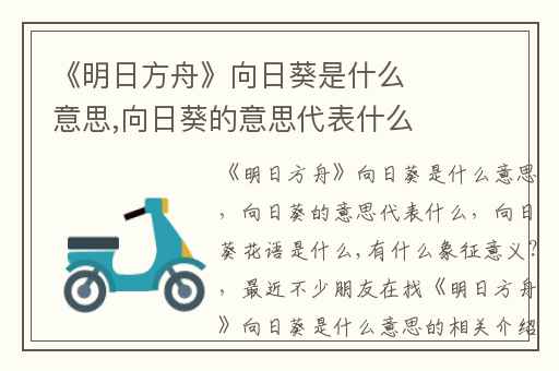 《明日方舟》向日葵是什么意思,向日葵的意思代表什么