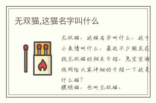 无双猫,这猫名字叫什么
