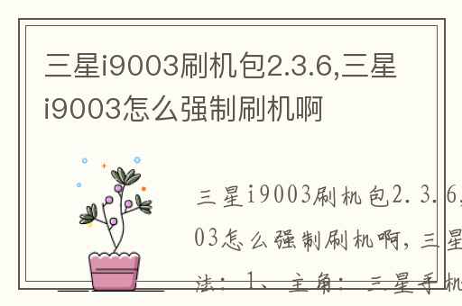 三星i9003刷机包2.3.6,三星i9003怎么强制刷机啊