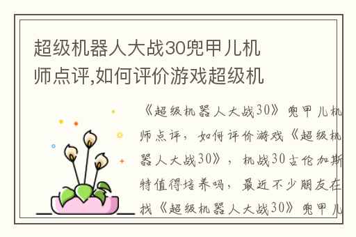 超级机器人大战30兜甲儿机师点评,如何评价游戏超级机器人大战30