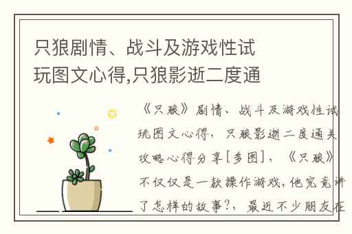 只狼剧情、战斗及游戏性试玩图文心得,只狼影逝二度通关攻略心得分享[多图]