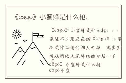 《csgo》小蜜蜂是什么枪,
