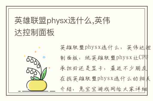 英雄联盟physx选什么,英伟达控制面板