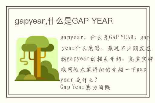 gapyear,什么是GAP YEAR