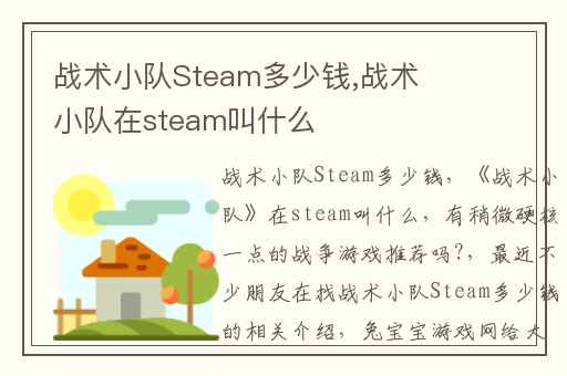 战术小队Steam多少钱,战术小队在steam叫什么