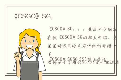 《CSGO》SG,