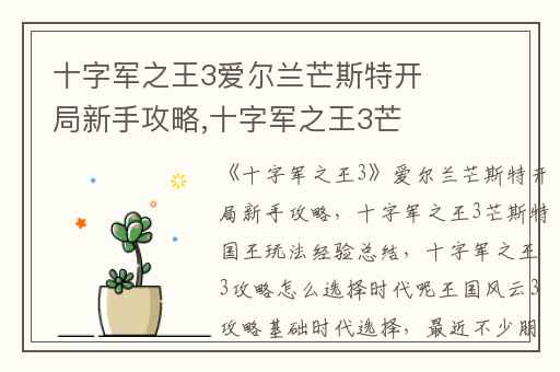十字军之王3爱尔兰芒斯特开局新手攻略,十字军之王3芒斯特国王玩法经验总结