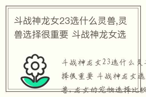 斗战神龙女23选什么灵兽,灵兽选择很重要 斗战神龙女选择什么灵兽