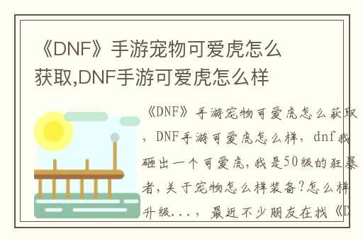 《DNF》手游宠物可爱虎怎么获取,DNF手游可爱虎怎么样