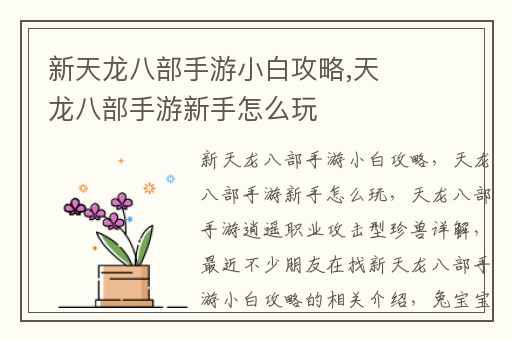 新天龙八部手游小白攻略,天龙八部手游新手怎么玩