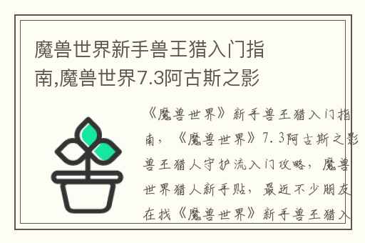 魔兽世界新手兽王猎入门指南,魔兽世界7.3阿古斯之影兽王猎人守护流入门攻略
