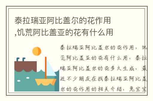 泰拉瑞亚阿比盖尔的花作用,饥荒阿比盖亚的花有什么用