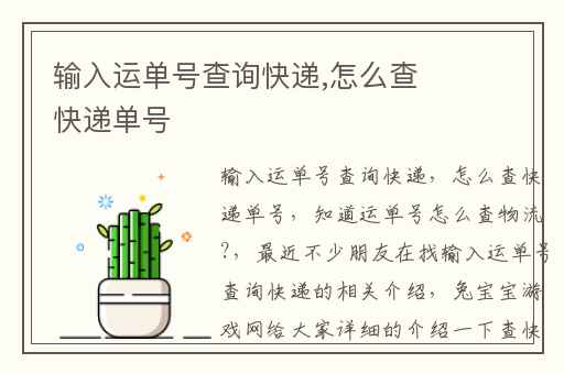 输入运单号查询快递,怎么查快递单号
