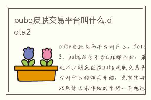 pubg皮肤交易平台叫什么,dota2