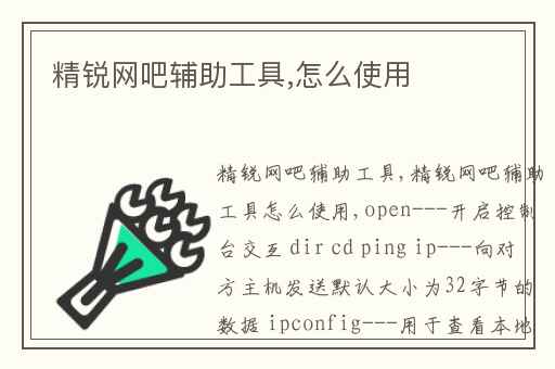精锐网吧辅助工具,怎么使用