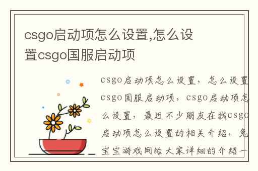 csgo启动项怎么设置,怎么设置csgo国服启动项