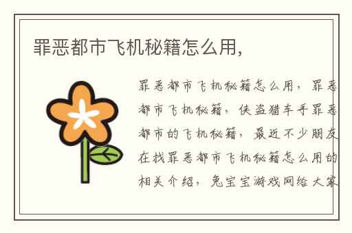 罪恶都市飞机秘籍怎么用,