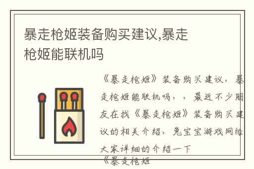 暴走枪姬装备购买建议,暴走枪姬能联机吗