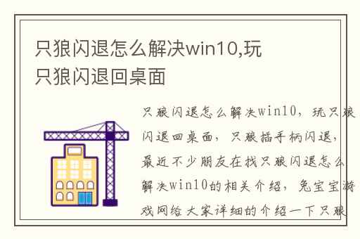 只狼闪退怎么解决win10,玩只狼闪退回桌面