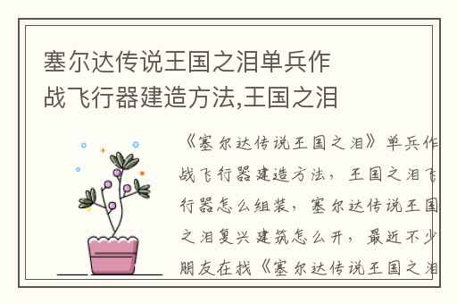 塞尔达传说王国之泪单兵作战飞行器建造方法,王国之泪飞行器怎么组装