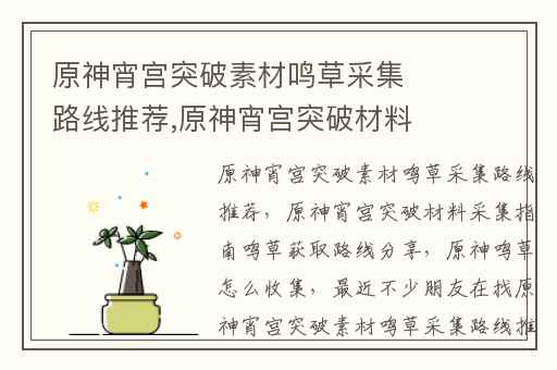 原神宵宫突破素材鸣草采集路线推荐,原神宵宫突破材料采集指南鸣草获取路线分享
