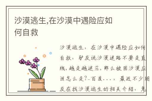 沙漠逃生,在沙漠中遇险应如何自救