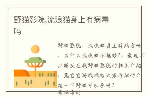 野猫影院,流浪猫身上有病毒吗
