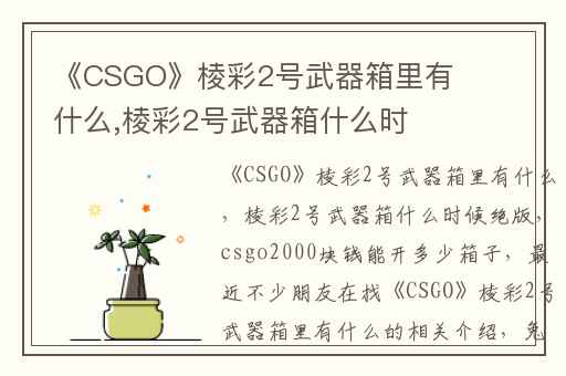 《CSGO》棱彩2号武器箱里有什么,棱彩2号武器箱什么时候绝版
