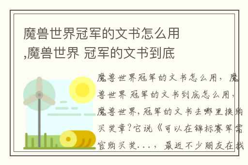 魔兽世界冠军的文书怎么用,魔兽世界 冠军的文书到底怎么用