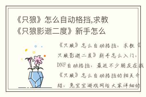 《只狼》怎么自动格挡,求教《只狼影逝二度》新手怎么入门