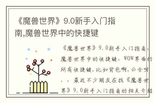 《魔兽世界》9.0新手入门指南,魔兽世界中的快捷键