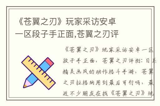 《苍翼之刃》玩家采访安卓一区段子手正面,苍翼之刃评测:日系精美画风的动作格斗手游