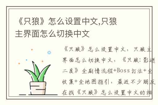 《只狼》怎么设置中文,只狼主界面怎么切换中文