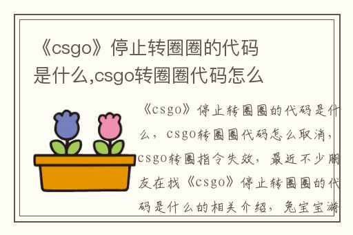 《csgo》停止转圈圈的代码是什么,csgo转圈圈代码怎么取消