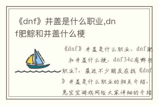 《dnf》井盖是什么职业,dnf肥鯮和井盖什么梗