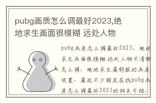 pubg画质怎么调最好2023,绝地求生画面很模糊 远处人物不清晰怎么调
