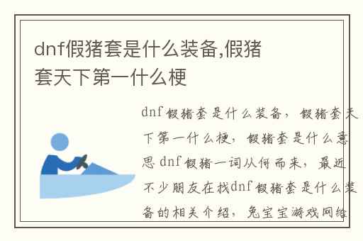 dnf假猪套是什么装备,假猪套天下第一什么梗