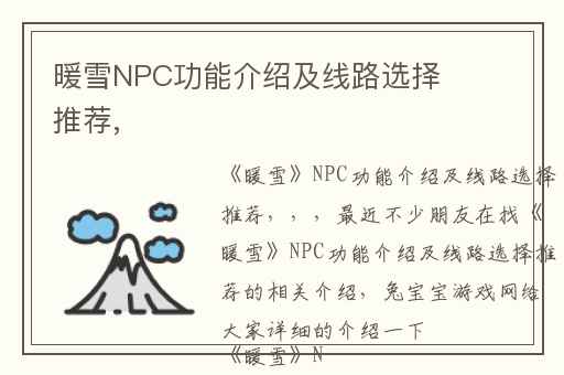 暖雪NPC功能介绍及线路选择推荐,