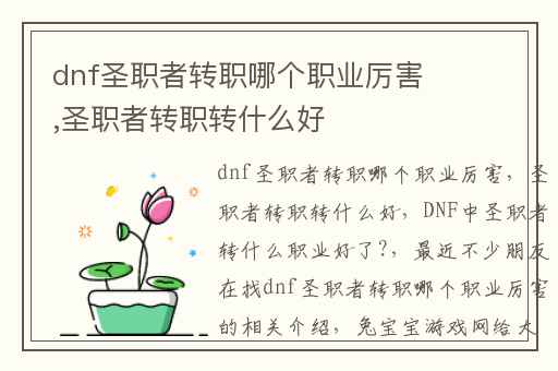 dnf圣职者转职哪个职业厉害,圣职者转职转什么好