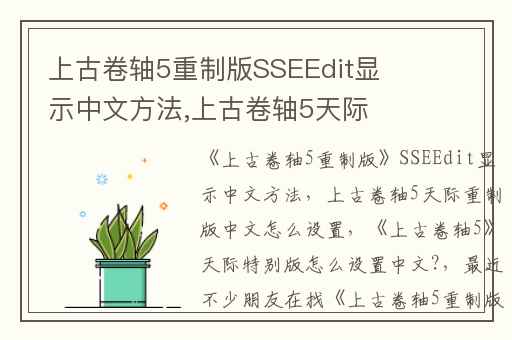 上古卷轴5重制版SSEEdit显示中文方法,上古卷轴5天际重制版中文怎么设置