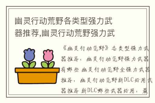 幽灵行动荒野各类型强力武器推荐,幽灵行动荒野强力武器有哪些 幽灵行动荒野全强力武器推荐