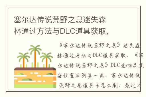塞尔达传说荒野之息迷失森林通过方法与DLC道具获取,塞尔达传说荒野之息DLC全物品装备位置及图鉴一览