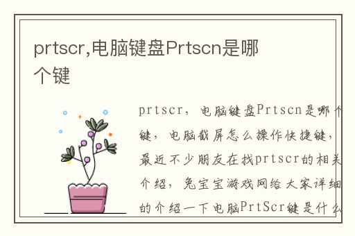 prtscr,电脑键盘Prtscn是哪个键