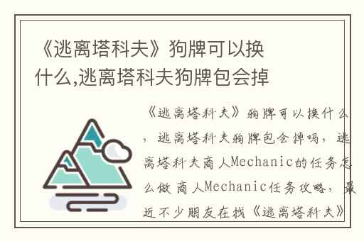 《逃离塔科夫》狗牌可以换什么,逃离塔科夫狗牌包会掉吗