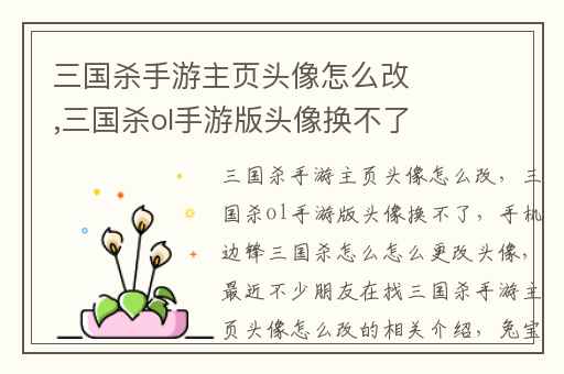 三国杀手游主页头像怎么改,三国杀ol手游版头像换不了